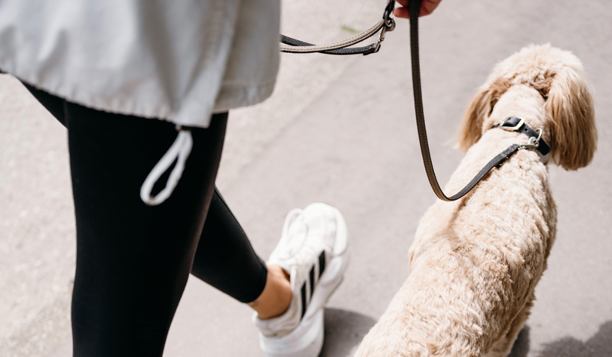 walking with dog after Late ADHD Diagnosis In Adulthood As A Woman